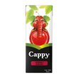 Cappy Meyve Suyu Vişne 200 ml