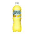 Doğanay Limonata Light 1 L