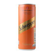 Shweppes Mandalina Kutu 250 ml