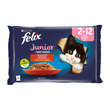 Felix Kedi Junior Sığır Tavuk Yaş Mama 4x85 gr