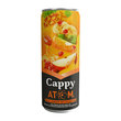 CAPPY 330ml ATOM TNK