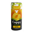 Cappy Kayısı Kutu 250 ml