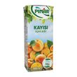Pınar Meyve Suyu İçecek Kayısı 200 ml