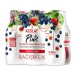 Kızılay Plus Kara Mürver Çilek 6x200ml