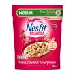 Nestle Nesfit Granola Kabak Çekirdeği Turna Yemişli 300 gr