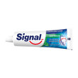 Signal Çürüklere Karşı Diş Macunu Naneli 100 ml