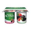 Danone Activia Orman Meyveli Yoğurt 4X100 gr