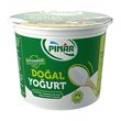 Pınar Homojen Yoğurt 1200 gr