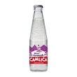 Çamlıca Gazoz Frambuaz Aromalı 200 ml