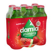 Damla Minera Karpuz Çilek 6X200 ml