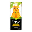 Cappy Meyve Suyu Kayısı 200 ml
