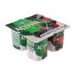 Danone Activia Orman Meyveli Yoğurt 4X100 gr