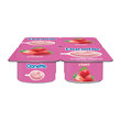 Danone Danette Çilek 4X100 gr