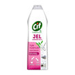 Cif Süper Jel Çok Amaçlı Begonya 750ml