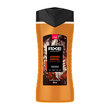 Axe Duş Jeli Copper Santal 300 ml