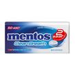 Mentos Cleanbreath Tınbox Nane 35 gr