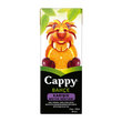 Cappy Meyve Suyu Karışık 200 ml