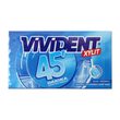 Vivident 45 Dk Cüzdan Sakız Nane 26 gr