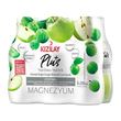 Kızılay Plus Yeşil Elma Erik 6x200 ml