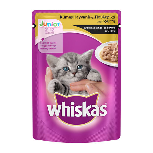 Whiskas Pouch Yavru Tavuklu Yaş Kedi Maması 100 gr Kedi Mamaları