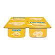 Danone Danette Muzlu 4X100 gr