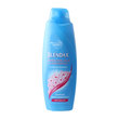 Blendax Şampuan Kiraz Çiçeği 500 ml