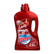 Bingo Fresh Lovele 2,5 L