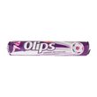 KENT OLIPS STICK 28GR ORMAN MEYVELI