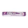 Kent Olips Stick Orman Meyveli 28 gr