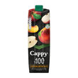Cappy Meyve Suyu %100 Karışık