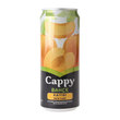 Cappy Kayısı 330 ml