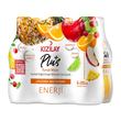 Kızılay Plus Karışık Meyve 6x200ml