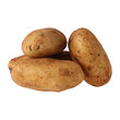 Patates Taze