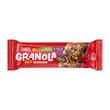 Züber Granola Orman Meyveli Bar 25 gr