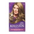 Koleston Set Orta Küllü Kumral 7/1