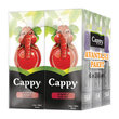 Cappy Atom Vişne 6x200 ml