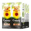 Cappy Şeftali Meyve Suyu 6X200 ml