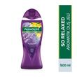 Palmolive Aroma Sensations So Relaxed Aromatik Banyo ve Duş Jeli 500 ml