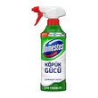 Domestos Hijyenik Köpük Çam Ferahlığı 450 ml